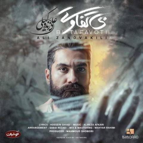 دانلود آهنگ  علی زندوکیلی به نام بی تفاوتی