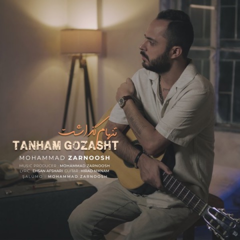 دانلود آهنگ محمد زرنوش به نام تنهام گذاشت